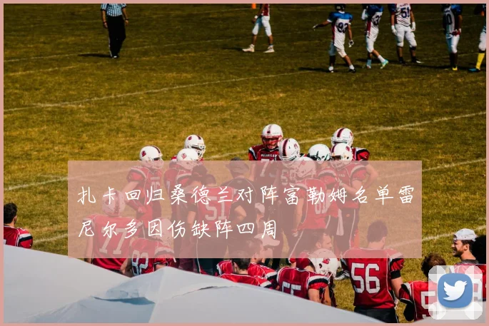 扎卡回归桑德兰对阵富勒姆名单雷尼尔多因伤缺阵四周