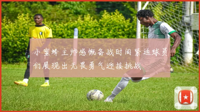 小蜜蜂主帅感慨备战时间紧迫球员们展现出无畏勇气迎接挑战